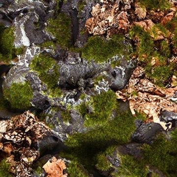 REPITERRA Terrarium Rückwand 3D Hintergrund im Naturlook Stein 120x60 cm - 4