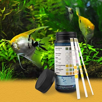 sanafish Wassertest Aquarium 7-in-1 – 100 Teststreifen – Wassertester fürs Aquarium auf GH, KH, pH, NO3, NO2, freies Cl, Gesamtalkalinität – in Dose - inkl. gratis E-Book - 6