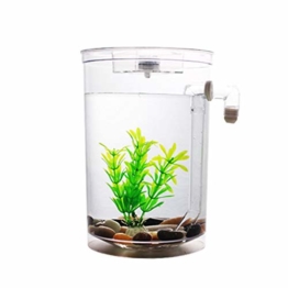 Selbstreinigendes Mini-Aquarium-Set von Bayrick + LED-Lampe Gravity Clean - 1