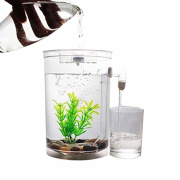 Selbstreinigendes Mini-Aquarium-Set von Bayrick + LED-Lampe Gravity Clean - 2