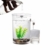 Selbstreinigendes Mini-Aquarium-Set von Bayrick + LED-Lampe Gravity Clean - 2