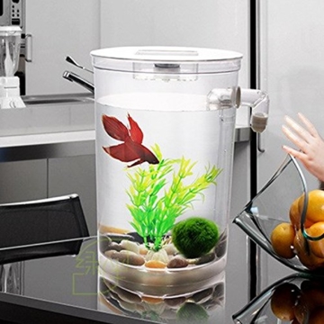 Selbstreinigendes Mini-Aquarium-Set von Bayrick + LED-Lampe Gravity Clean - 3