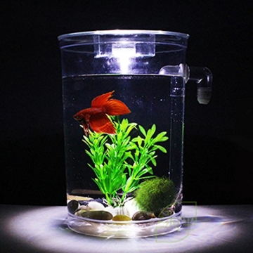 Selbstreinigendes Mini-Aquarium-Set von Bayrick + LED-Lampe Gravity Clean - 4