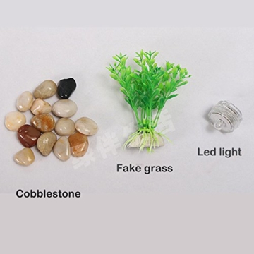 Selbstreinigendes Mini-Aquarium-Set von Bayrick + LED-Lampe Gravity Clean - 5