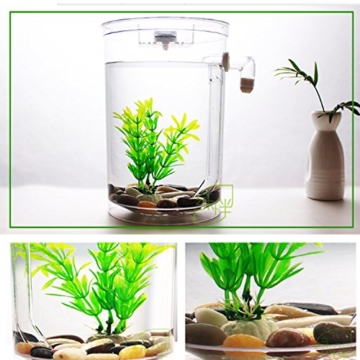 Selbstreinigendes Mini-Aquarium-Set von Bayrick + LED-Lampe Gravity Clean - 6