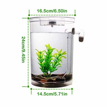 Selbstreinigendes Mini-Aquarium-Set von Bayrick + LED-Lampe Gravity Clean - 8