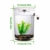 Selbstreinigendes Mini-Aquarium-Set von Bayrick + LED-Lampe Gravity Clean - 8