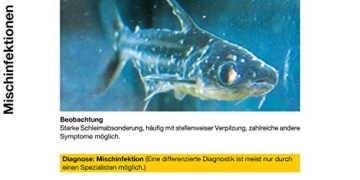 sera 02170 omnipur S 50 ml - Arzneimittel mit Breitbandwirkung gegen die häufigsten Zierfischkrankheiten im Süßwasser - 2