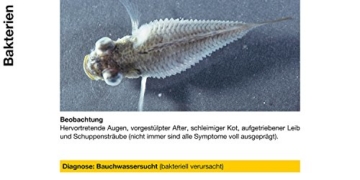 sera 02170 omnipur S 50 ml - Arzneimittel mit Breitbandwirkung gegen die häufigsten Zierfischkrankheiten im Süßwasser - 5