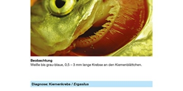 sera 07584 med Professional Argulol 100ml für 20.000 Liter - Arzneimittel für Teichzierfische gegen parasitische Krebstiere, wie Karpfenläuse, Ankerwürmer und Kiemenkrebse - 9