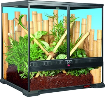 sera 32000 reptil Terra biotop 60 Terrarium - ein modernes Glasterrarium 60x60x45cm zur Haltung von Zwerg-Bartagamen, Chamäleons, Frösche, Salamander und Schnecken oder Insekten - 2