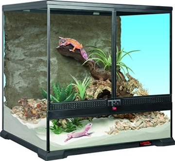 sera 32000 reptil Terra biotop 60 Terrarium - ein modernes Glasterrarium 60x60x45cm zur Haltung von Zwerg-Bartagamen, Chamäleons, Frösche, Salamander und Schnecken oder Insekten - 3