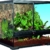 sera 32000 reptil Terra biotop 60 Terrarium - ein modernes Glasterrarium 60x60x45cm zur Haltung von Zwerg-Bartagamen, Chamäleons, Frösche, Salamander und Schnecken oder Insekten - 4