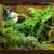 sera 32000 reptil Terra biotop 60 Terrarium - ein modernes Glasterrarium 60x60x45cm zur Haltung von Zwerg-Bartagamen, Chamäleons, Frösche, Salamander und Schnecken oder Insekten - 5