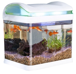 Sweetypet Aquarium: Transport-Fischbecken mit Filter, LED-Beleuchtung und USB, 3,3 Liter (Mini Aquarium) - 1