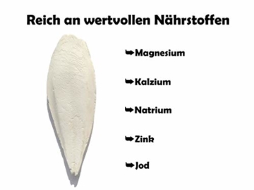 Tamay Sepiaschalen Premium I Optimale Kalzium u. Vitaminversorgung Nahrung, Futter für Reptilien, Schildkröten, Bartagamen, Vögel I Sepia Schalen Terrarium Zubehör I 10 Stück - 3