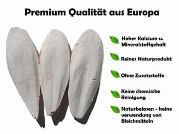Tamay Sepiaschalen Premium I Optimale Kalzium u. Vitaminversorgung Nahrung, Futter für Reptilien, Schildkröten, Bartagamen, Vögel I Sepia Schalen Terrarium Zubehör I 10 Stück - 4