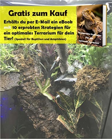 Tamay Sepiaschalen Premium I Optimale Kalzium u. Vitaminversorgung Nahrung, Futter für Reptilien, Schildkröten, Bartagamen, Vögel I Sepia Schalen Terrarium Zubehör I 10 Stück - 5