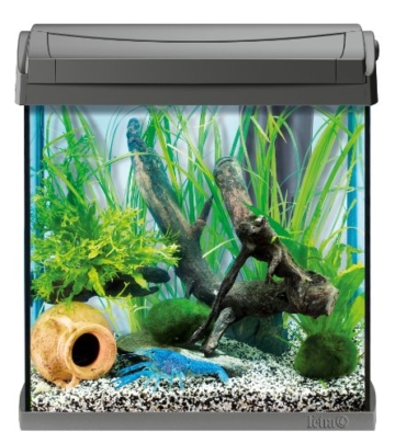 Tetra AquaArt Discovery Line Aquarium-Komplett-Set 30 Liter anthrazit (inklusive Tetra EasyCrystal Innenfilter, ideal für die Haltung von Krebsen und Garnelen) - 1