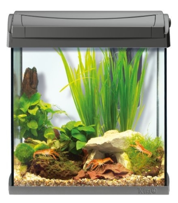 Tetra AquaArt Discovery Line Aquarium-Komplett-Set 30 Liter anthrazit (inklusive Tetra EasyCrystal Innenfilter, ideal für die Haltung von Krebsen und Garnelen) - 5