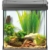 Tetra AquaArt Discovery Line Aquarium-Komplett-Set 30 Liter anthrazit (inklusive Tetra EasyCrystal Innenfilter, ideal für die Haltung von Krebsen und Garnelen) - 5