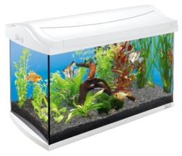 Tetra AquaArt Discovery Line Aquarium-Komplett-Set weiß (inklusive Tetra EasyCrystal FilterBox, ideal für die Haltung von Garnelen, Krebse oder tropischen Zierfische), 60 L, weiß - 1