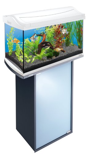 Tetra AquaArt Discovery Line Aquarium-Komplett-Set weiß (inklusive Tetra EasyCrystal FilterBox, ideal für die Haltung von Garnelen, Krebse oder tropischen Zierfische), 60 L, weiß - 4