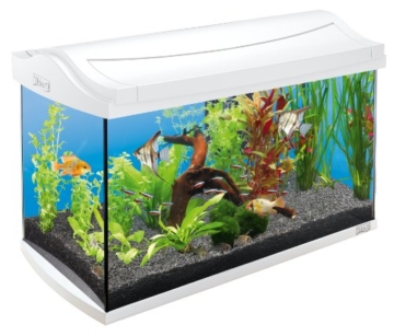 Tetra AquaArt Discovery Line Aquarium-Komplett-Set weiß (inklusive Tetra EasyCrystal FilterBox, ideal für die Haltung von Garnelen, Krebse oder tropischen Zierfische), 60 L, weiß - 1