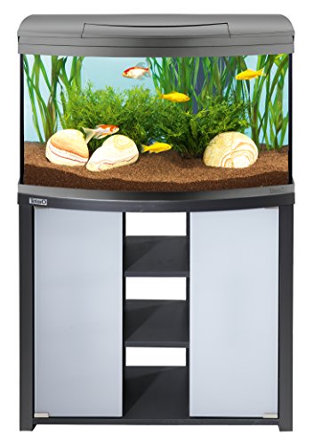 Tetra AquaArt Evolution Line LED Aquarium-Komplett-Set 100 Liter anthrazit (moderne LED Beleuchtung, integrierte Tag-Nachtlichtschaltung, gebogene Frontscheibe) - 4