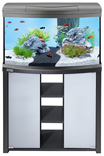Tetra AquaArt Evolution Line LED Aquarium-Komplett-Set 100 Liter anthrazit (moderne LED Beleuchtung, integrierte Tag-Nachtlichtschaltung, gebogene Frontscheibe) - 5