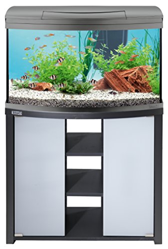 Tetra AquaArt Evolution Line LED Aquarium-Komplett-Set 100 Liter anthrazit (moderne LED Beleuchtung, integrierte Tag-Nachtlichtschaltung, gebogene Frontscheibe) - 6