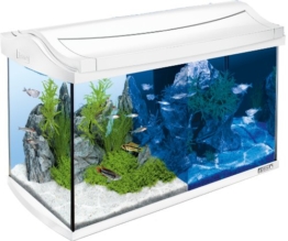 Tetra AquaArt LED Aquarium-Komplett-Set (inklusive LED-Beleuchtung, Tag- und Nachtlichtschaltung, EasyCrystal Innenfilter und Aquarienheizer, ideal für Zierfische) 60 Liter weiß - 1