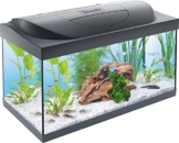 Tetra Regular Starter Line Aquarium-Komplettset mit LED-Beleuchtung stabiles 54 Liter Einsteigerbecken mit Technik, Regular Starterline, Futter und Pflegemitteln - 1