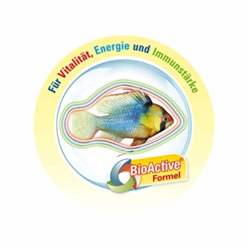 TetraMin XL Flakes, Hauptfutter für alle Zierfische mit größerem Maul in Flockenform, Futterverwertung, 1 Liter Dose - 5
