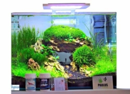 Blau Aquaristic - Nano-Aquarium Square 28 Liter - Starter Komplettset LED, Filter - 1