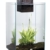 Fluval 10508 CHI DieEngergie 25 Liter mit LED 25 x 25 x 40 cm - 1