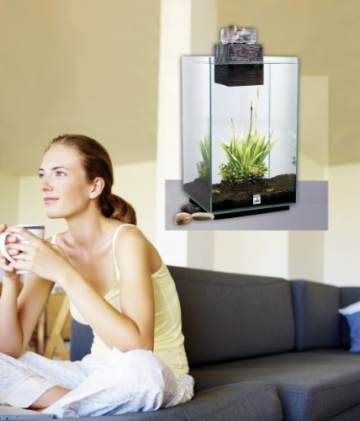 Fluval 10508 CHI DieEngergie 25 Liter mit LED 25 x 25 x 40 cm - 7