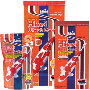 Hikari Koifutter Wheat Germ large 10 kg - 