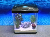 Nano Aquarium der HRC Reihe in verschiedenen Größen und Farben Filteranlage Nanoaquarium Komplett Filter Beleuchtung, HRC ohne Deko:HRC 320 schwarz - 1