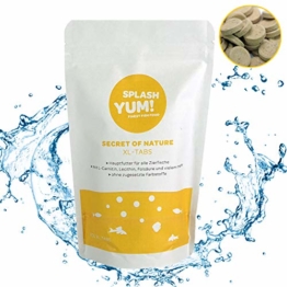 SplashYum! Aquarium Bodentabletten Hafttabletten XL-Tabs für alle Zierfische mit L-Carnitin, Lecithin, Folsäure Bodenfische Fischfutter Leckerbissen für Wels Cichliden Schmerlen Diskus Guppy Pleco - 1