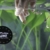 SplashYum! Aquarium Bodentabletten Hafttabletten XL-Tabs für alle Zierfische mit L-Carnitin, Lecithin, Folsäure Bodenfische Fischfutter Leckerbissen für Wels Cichliden Schmerlen Diskus Guppy Pleco - 4