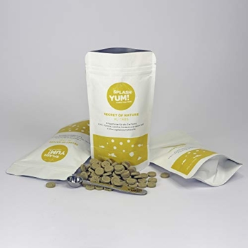 SplashYum! Aquarium Bodentabletten Hafttabletten XL-Tabs für alle Zierfische mit L-Carnitin, Lecithin, Folsäure Bodenfische Fischfutter Leckerbissen für Wels Cichliden Schmerlen Diskus Guppy Pleco - 6