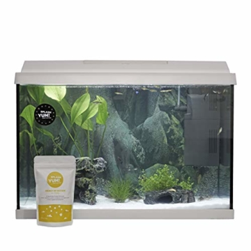 SplashYum! Aquarium Bodentabletten Hafttabletten XL-Tabs für alle Zierfische mit L-Carnitin, Lecithin, Folsäure Bodenfische Fischfutter Leckerbissen für Wels Cichliden Schmerlen Diskus Guppy Pleco - 7