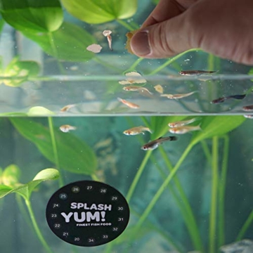 SplashYum! Flocken Fischfutter Aquarium Teich Hauptfutter alle Zierfische mit L-Carnitin, Lecithin, Folsäure Flockenfutter Flakes Leckerbissen für Diskus Wels Guppy Futter Platy Cichliden - 4