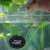 SplashYum! Flocken Fischfutter Aquarium Teich Hauptfutter alle Zierfische mit L-Carnitin, Lecithin, Folsäure Flockenfutter Flakes Leckerbissen für Diskus Wels Guppy Futter Platy Cichliden - 4