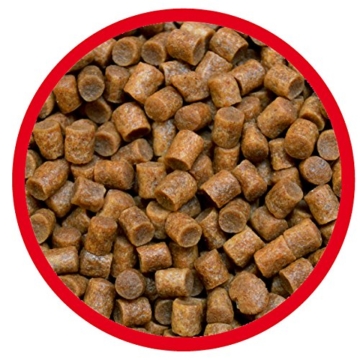 AL-KO-TE, 1-Jahreszeitenfutter für Kois, Winter, Sinkende Pellets, 4,5 mm, Hauptfutter Winter, 1,5 kg - 2