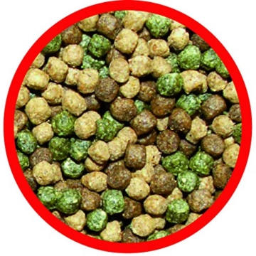 AL-KO-TE, 3-Jahreszeitenfutter für Kois, Frühjahr bis Herbst, Schwimmende Pellets, 6 mm, Hauptfutter Profi Mix, 7,5 kg - 2