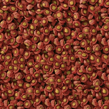 sera 07009 KOI Professional Frühjahr-/Herbstfutter 7 kg - das leicht verdauliche Futter für Temperaturen unter 17 °C - 2