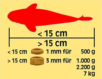sera 07009 KOI Professional Frühjahr-/Herbstfutter 7 kg - das leicht verdauliche Futter für Temperaturen unter 17 °C - 4