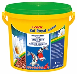 sera KOI Royal medium (4 mm) ein Koifutter bzw. Hauptfutter für die optimale Entwicklung von Koi von 12- 25cm mit Präbiotika für verbesserte Futterverwertung, geringere Wasserbelastung & weniger Algen - 1